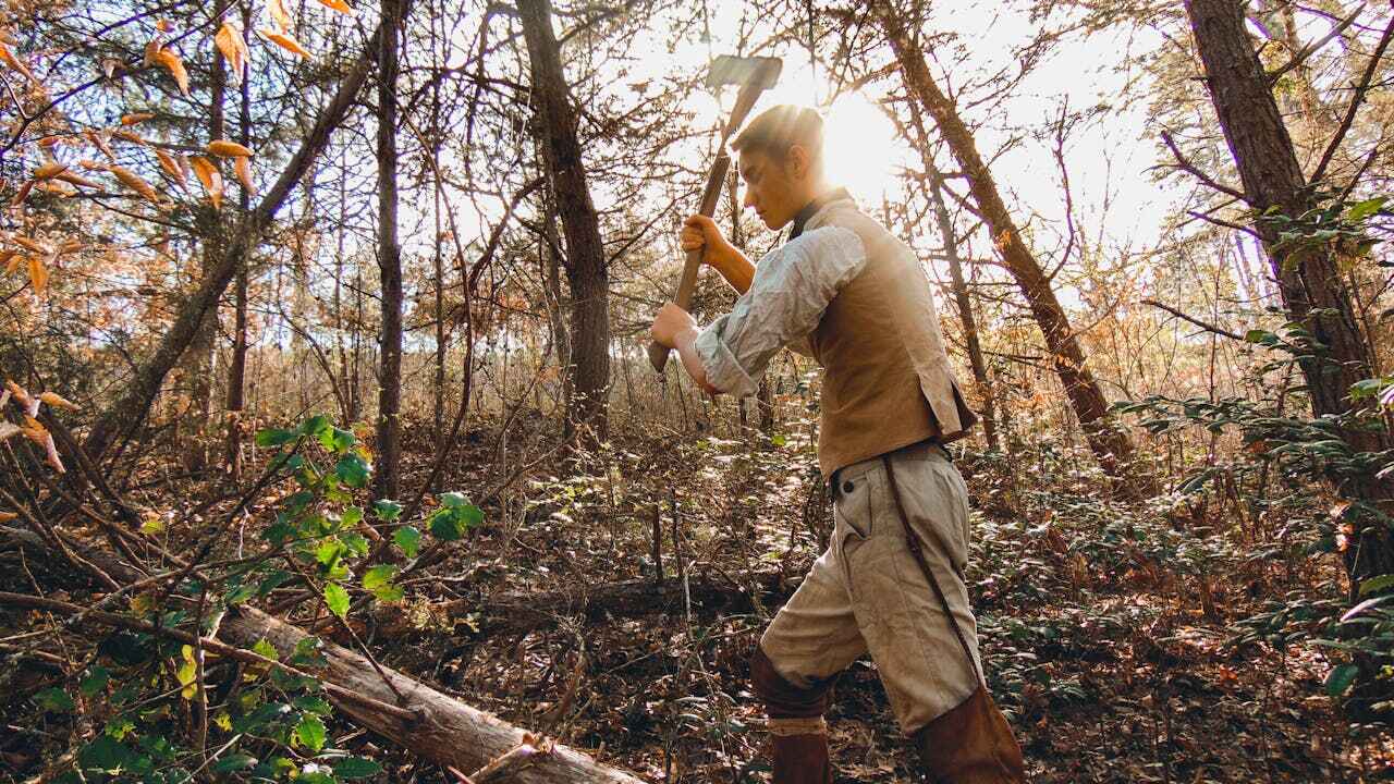 Emergency Storm Tree Removal in Blackwells Mills, NJ